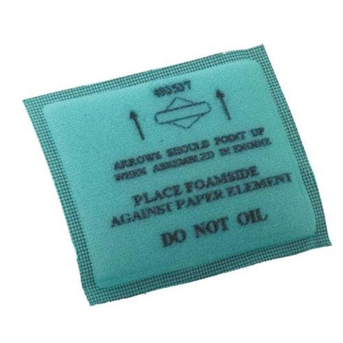 D01/FOAM-FILTER (5 X 493537S)